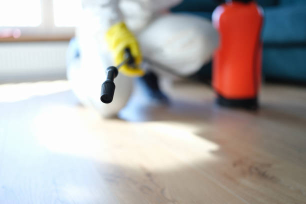 Best Asbestos and Lead Testing During Mold Inspection  in Claremont, CA