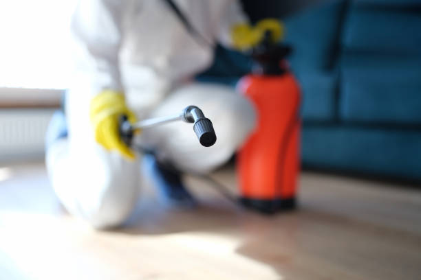  Claremont, CA Mold Removal Pros