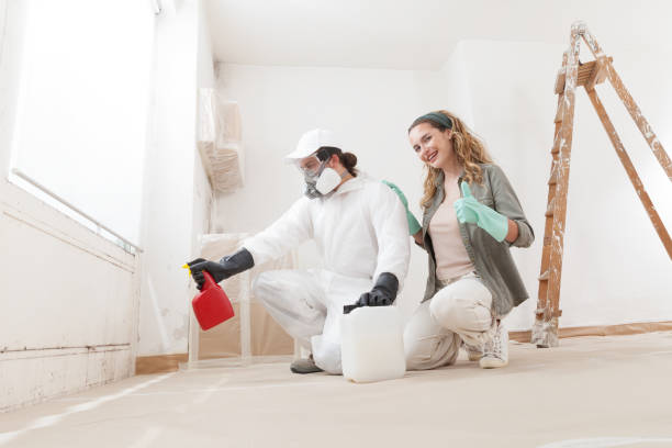 Best Basement Mold Removal  in Claremont, CA