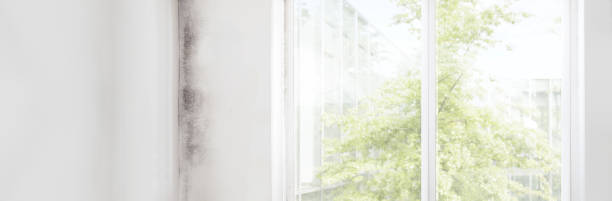 Best Real Estate Mold Inspection  in Claremont, CA