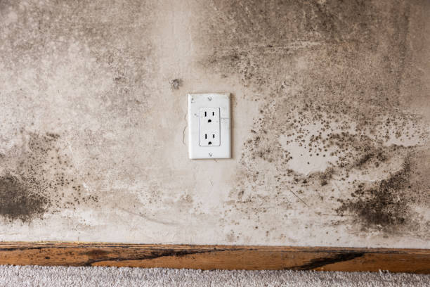 Best Indoor Air Quality Assessment  in Claremont, CA